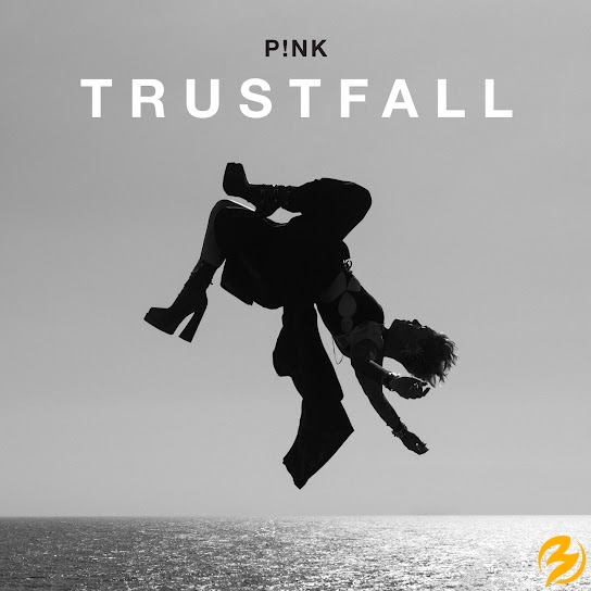 P-NK-TRUSTFALL-1.jpg