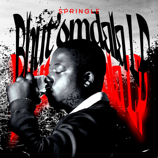 Springle-Niyanglinga-feat-Pushkin-Bassie-T-T-MuziQ-1.jpg