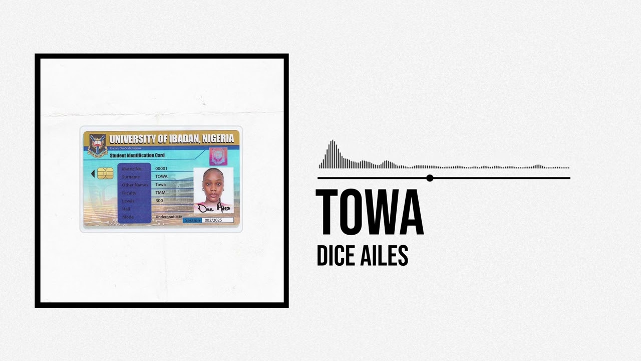 Dice-Ailes-Towa-1.jpg